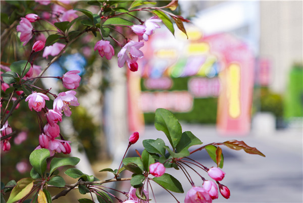 校園開放日初體驗(yàn)，帶你走進(jìn)南新，走進(jìn)互聯(lián)網(wǎng)