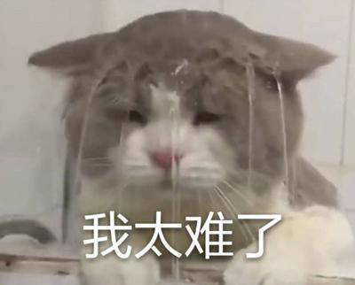 勁爆！新華電腦教育服務(wù)旗艦店正式入駐天貓，課程1折秒殺！