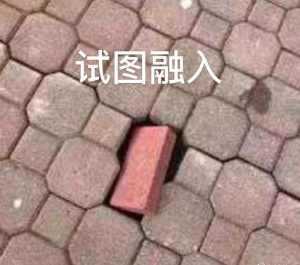 新華互聯(lián)網(wǎng)科技正式入駐Bilibili！會(huì)摩擦出什么樣火花呢？